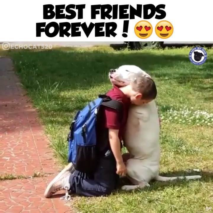 Animal Kinship Corps shared I Love My Dog’s post
