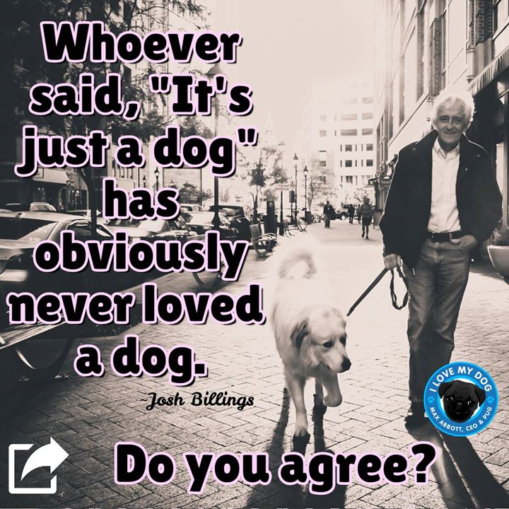 Animal Kinship Corps shared I Love My Dog’s post