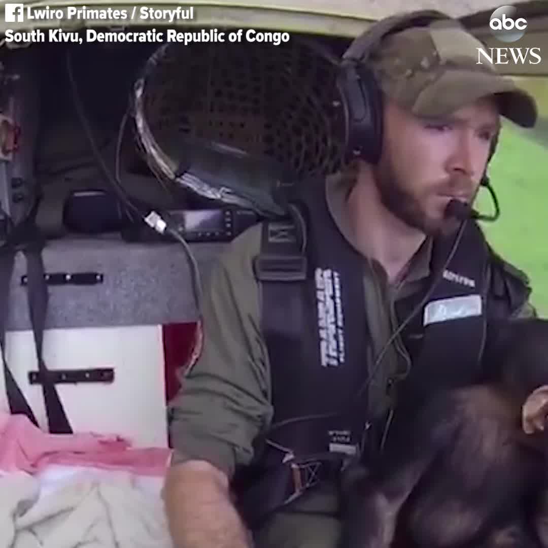 Animal Kinship Corps shared ABC News’s video