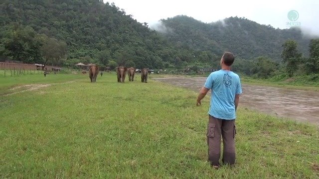 Animal Kinship Corps shared BuffaloMonkey’s video