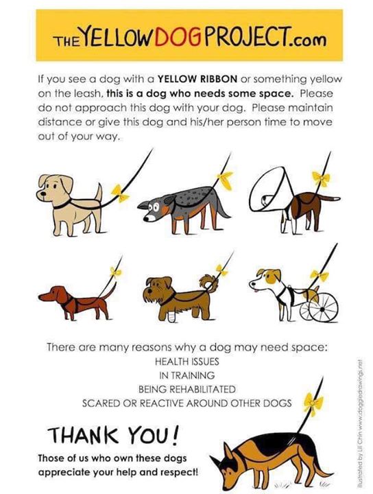 This is BRILLIANT! This needs to go viral to help animals (& humans) stay…