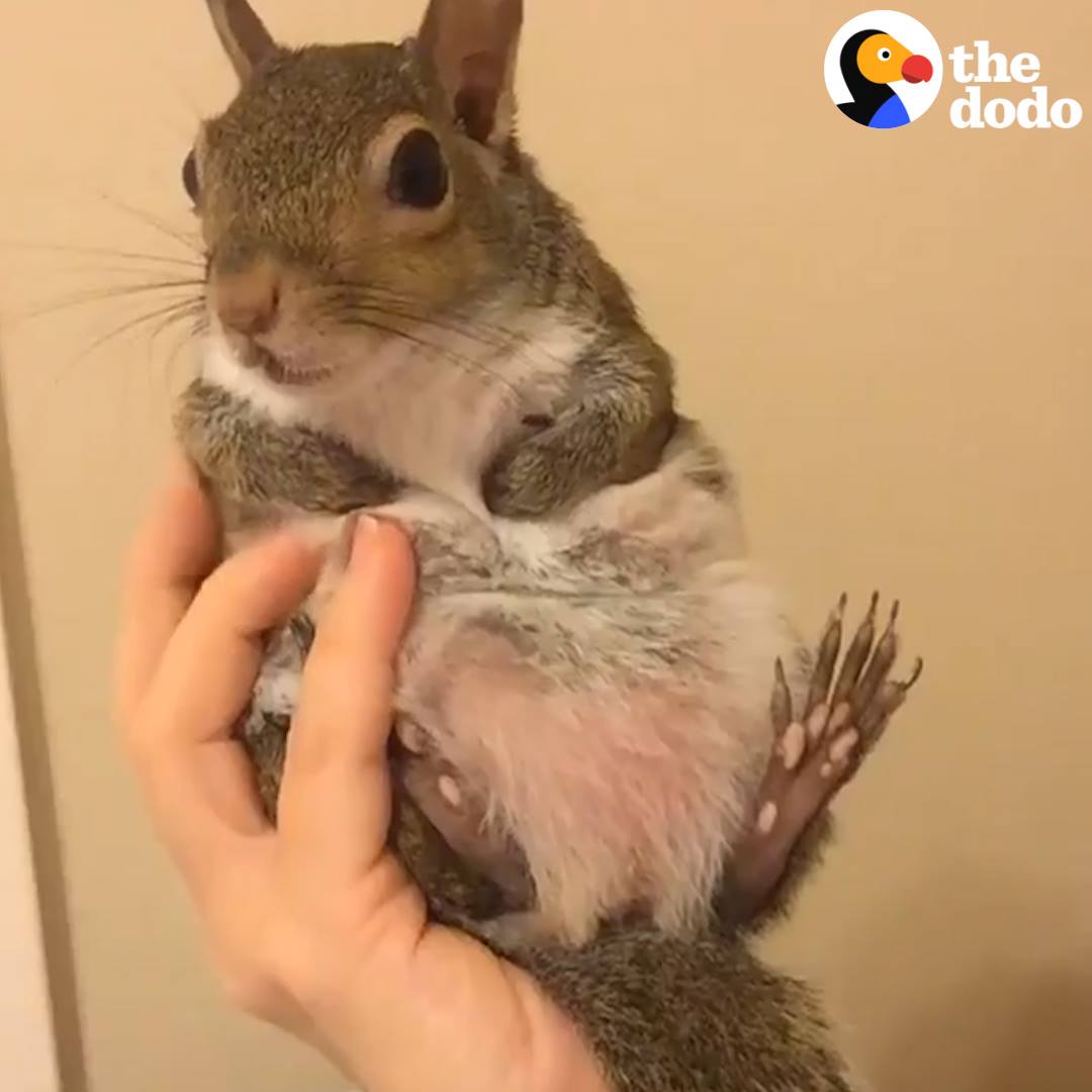 Awwww I love squirrels and wish I could meet this one