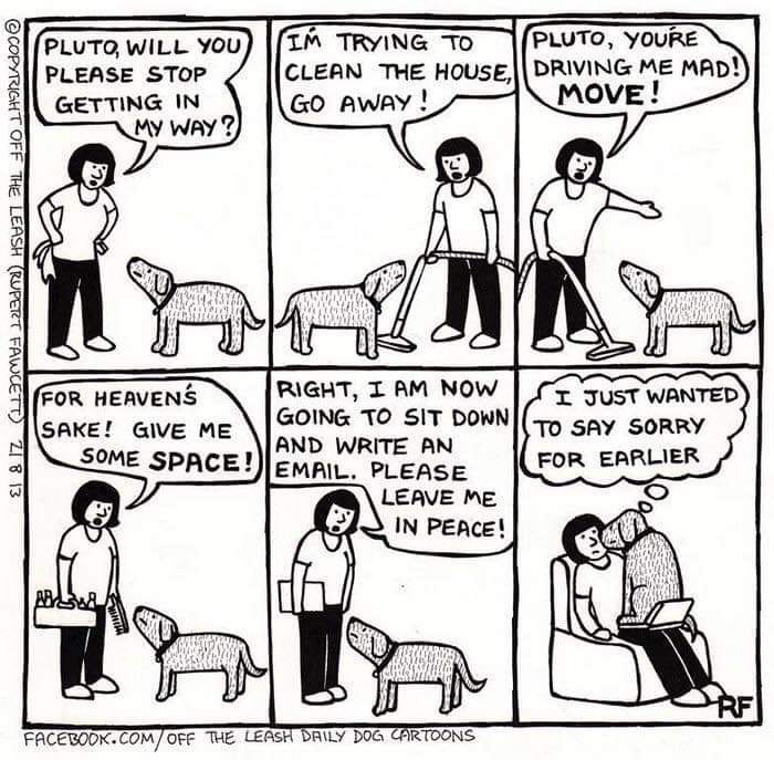 Um, this is the dance I often do with our dog, Chai