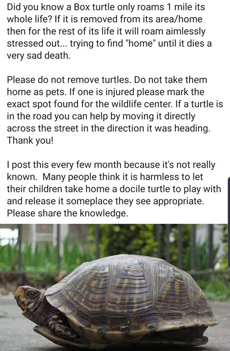 Animal Kinship Corps shared a post